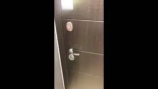 Дверь «Чикаго Царга» Дуб шале белый
