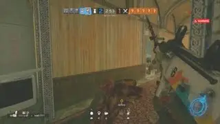 rarest thing in siege
