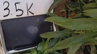 Xppen deco mini 7: the best budget graphic tablet or not? (3 years of usage)