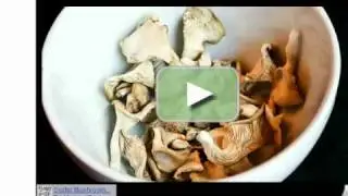 Oyster Mushroom: Grow Your Own Kit