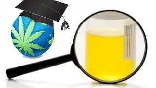 How To Pass A Urine Test For THC (Cannabis)