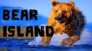 CH5 - Nature Documentary - Treasure Islands: Island of the Bears (1997)