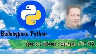 Python 8.2 Работа с файлами #17 ЕГЭ