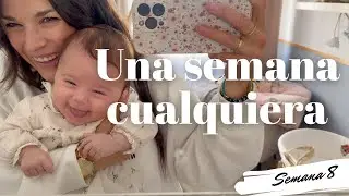 Nuestras comidas semanales, un poco de decoración y mi vida como madre - SEMANA 8