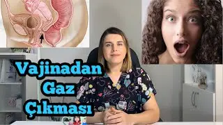 Vajinadan Gaz Çıkması Neden Olur? Gaz Sesi Gelmesi Nasıl Düzelir? - Antalya Kadın Doğum Uzmanı