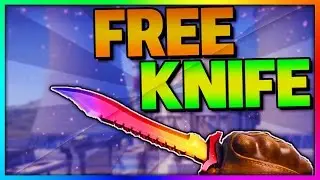 How To Test The Bowie Knife In CS GO FREE! (INGAME ONLY)