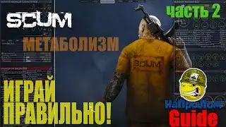 ГАЙД ПО ИГРЕ SCUM, КАК ИГРАТЬ В СКАМ, МЕТАБОЛИЗМ, ЧАСТЬ 2