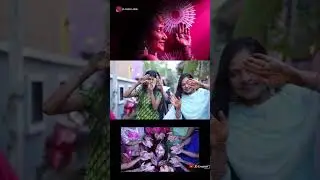 #weddingreel