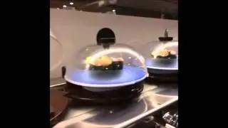 Amazing Sushi Restaurant - What a Progress in Japanese high-tech system