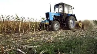 Уборка подсолнечника 2016 - день 1-й / HARVESTING SUNFLOWER 2016