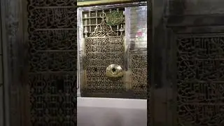 Madina | #islamicheritage #shortvideo #muslimcommunity #islamicculture #performumrah #islamichistory