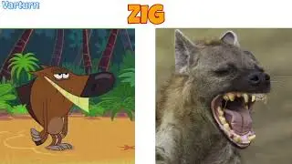 Zig And Sharko Characters In Real Life🤔