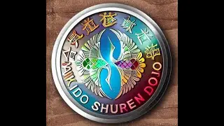 III SEMINARIO AIKIDO SHUREN DOJO ((((TOMAS FALSAS)))