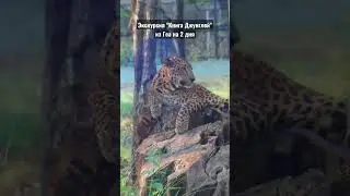 Уникальный маршрут 