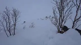 Охота на Чукотке. Охота на гуся.