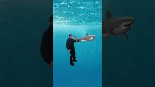 КАК ВЫЖИТЬ ПРИ КРУШЕНИИ КОРАБЛЯ
