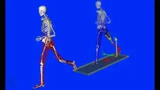 Running with prosthesis OpenSim