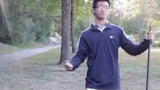 DANCE: Grape Phase 1