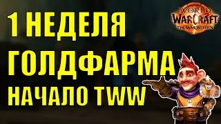 1 НЕДЕЛЯ ГОЛДФАРМА WoW The War Within