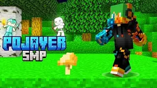 The crazy Application video!|||