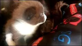 Фима глаза открыл!!!!!