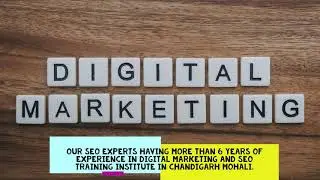 SEO Training in Chandigarh