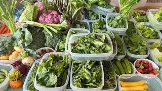 Join me for a stunning May harvest