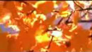 Change Of Seasons - Equinox - New Age Music Video -  Autumn