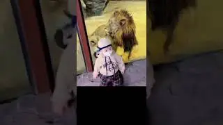 #юмор #мышление #funny #lion