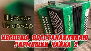 Неспеша восстанавливаю гармошки Чайка 2