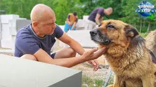На этом лесном хуторе не соскучишься. Стройка полным ходом, приём гостей, лечение большой собаки.