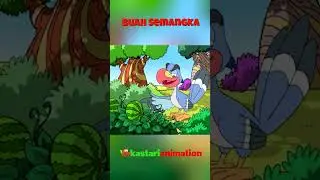BUAH SEMANGKA 