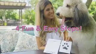 Pet Paw and Claw Print Clean - Touch Ink Pad Kit by Luna Bean