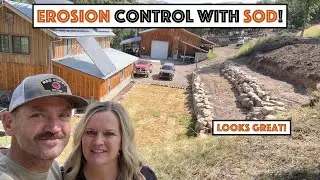 #749 - Erosion Control Around Our Mountainside Home... More Sod???