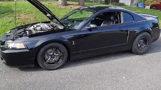 Mustang 2004 svt cobra 4.6 Teksid block bullet cams 81mm turbo..Build by Myself !!...