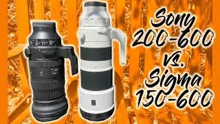 Sony 200-600 vs. Sigma 150-600
