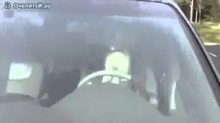 Собачка за рулем, сигналит!))