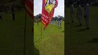 UKT Cabang Demak || Sabuk Kuning Ke Sabuk Biru #shorts #shortvideo