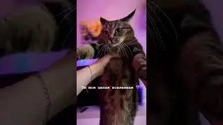 Ты моя целая вселенная ✨