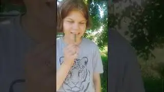 челенджи пробуем