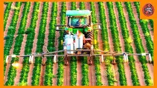 Check Out These 10 Unique And Amazing Machines That Will Blow Your Mind | Machine Matrix
