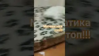 10 октября 2023 г.