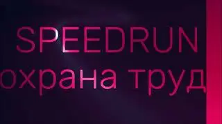 #12SPEEDRUN