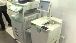 videoplayback  skynetsoft ru