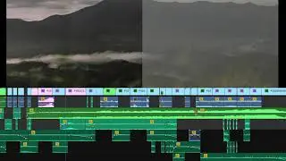 The Forest - timeline