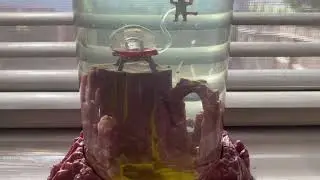 Sea Monkeys on Mars !!