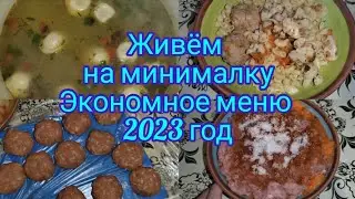 Экономное меню на семью, заготовка полуфабрикатов . Живём на минималку