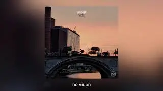 VAVNER - VIDA
