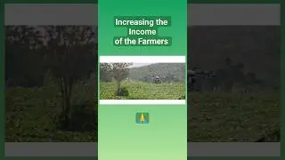 Drone Technology | Agricultural  Technology in India | Farmers |
