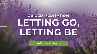 Guided Meditation: Letting Go, Letting Be - Tara Brach